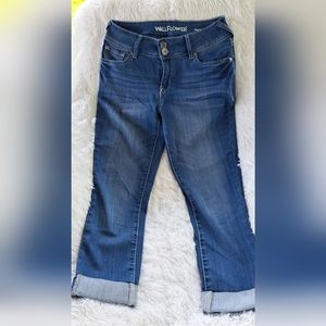 WALLFLOWER JUNIORS SIZE 7 CAPRIS